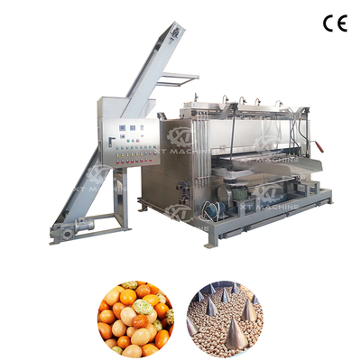 좋은 가격 50-100kg/h PLC 제어 너트 스윙 로스터 기계 온라인으로
