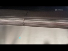 연속 벨트형 오븐 300kg/h 전기 난방 견과류 로스터 장비