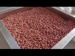 PLC 제어 연속 견과류 오븐 연속 견과류 로스터 드라이어/로스터