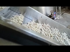 연속 프라이 머신