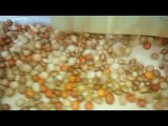 코팅 및 로스팅 생산 라인