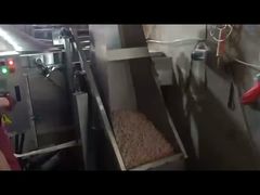 땅콩 팩 프라이터