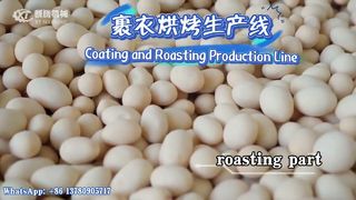 코팅된 땅콩 버거 제조 기계/생산 라인#peanut#productionline#machine#coating#roaster