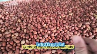 완벽하게 구운 땅콩 만드는 법 — 300kg/h#machine #food #peanut #factory#roaster