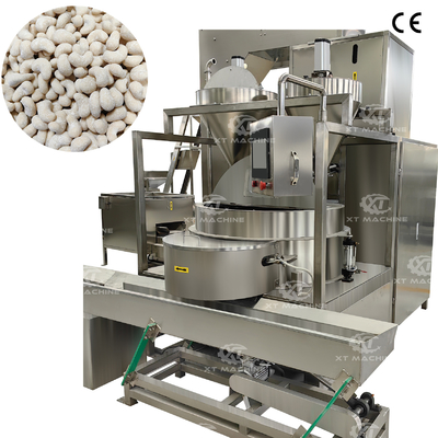 250-300kg/h 자동 땅콩 코팅기 캐슈 코팅기