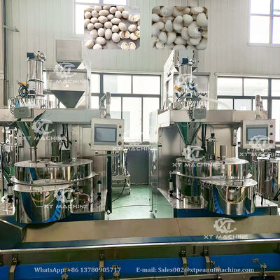 좋은 가격 견과류 가공 공장을 위한 500-1000kg/h 용량의 완전 자동 SUS304 땅콩 코팅 및 튀김 생산 라인 온라인으로